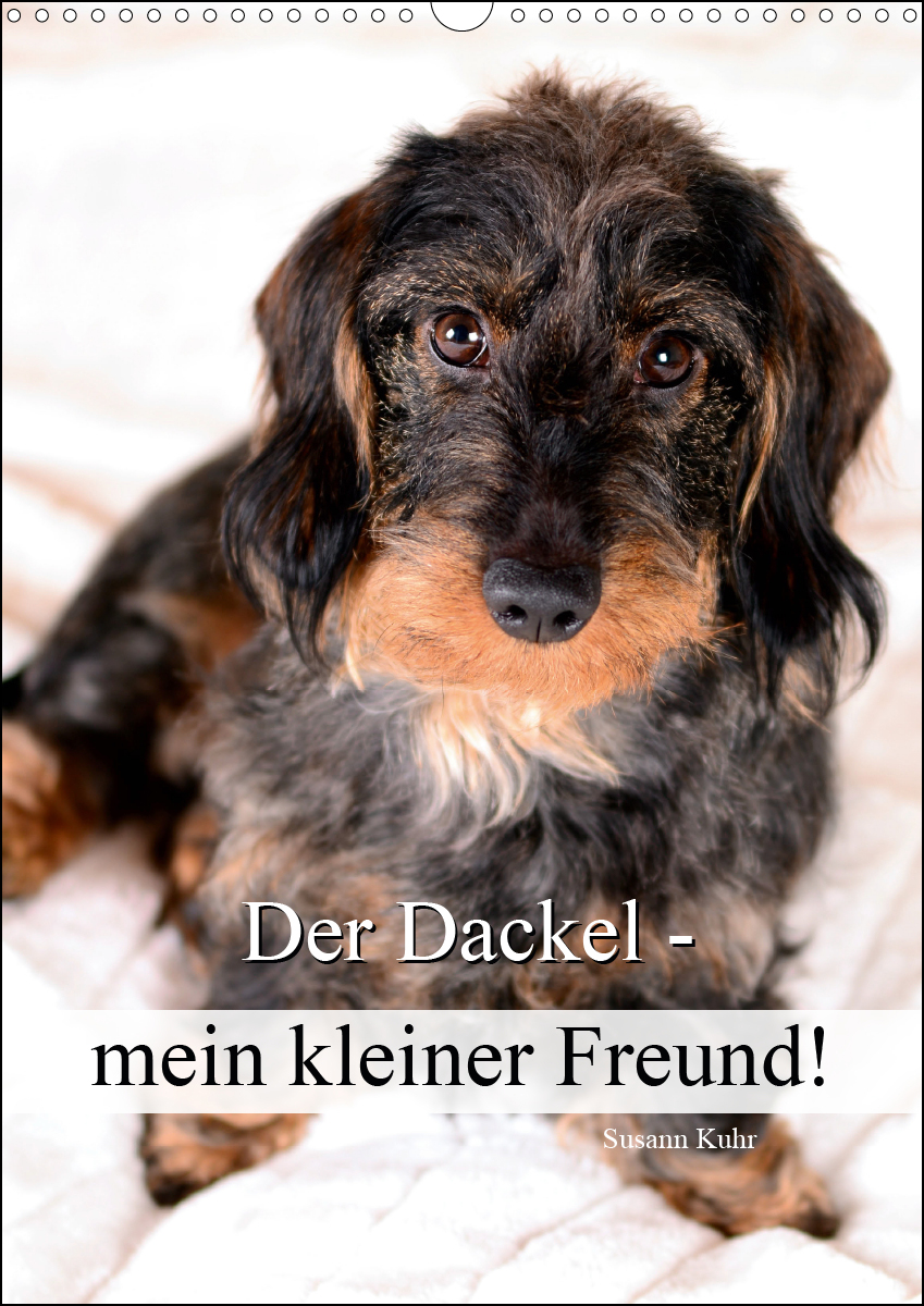 Der Dackel
