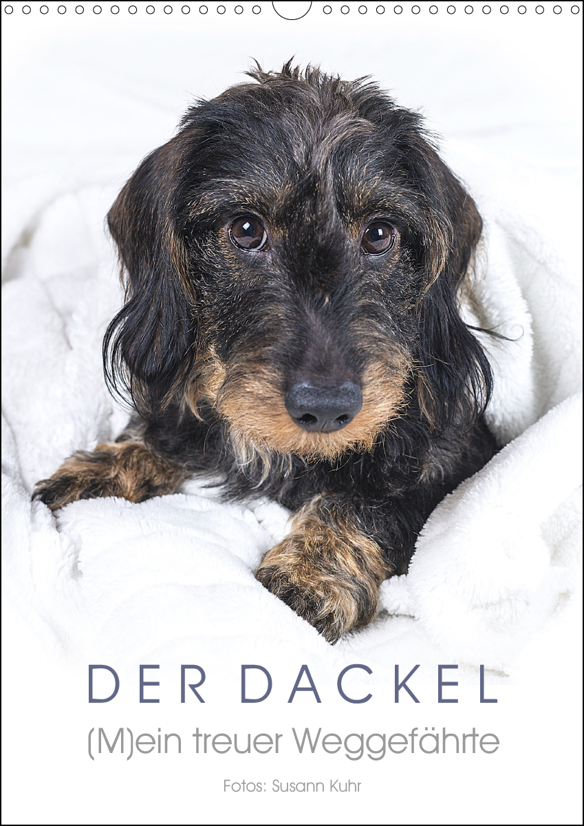 Dackel